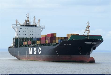 msc celine ship size